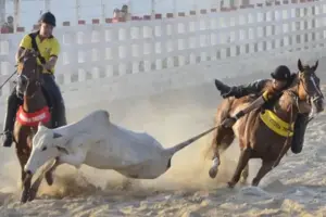 Leia mais sobre o artigo Vaquejada de Verão de Touros é reconhecida como patrimônio cultural imaterial do RN