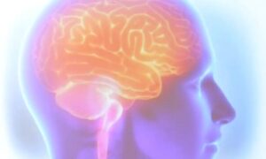 Leia mais sobre o artigo AVC mata uma pessoa a cada seis minutos no Brasil