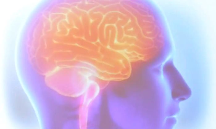 No momento, você está visualizando AVC mata uma pessoa a cada seis minutos no Brasil