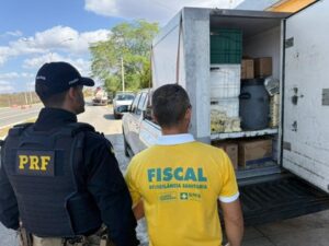 Leia mais sobre o artigo PRF e órgãos parceiros concluem operação de combate aos crimes contra o fisco e a saúde pública no RN e na PB