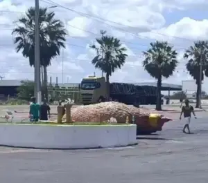 Leia mais sobre o artigo Galinha Gigante do Posto Florestal tomba após ventania em Assú