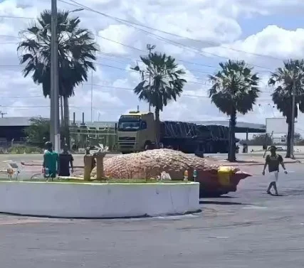 No momento, você está visualizando Galinha Gigante do Posto Florestal tomba após ventania em Assú