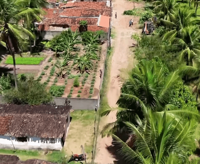 No momento, você está visualizando Prefeita Professora Nira amplia obras de pavimentação em Maxaranguape