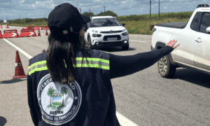 Leia mais sobre o artigo Operação integrada com a Sefaz-RN apreende mais de R$ 1 milhão em mercadorias irregulares