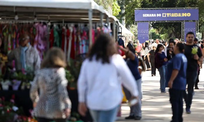 No momento, você está visualizando Desemprego no trimestre cai para menor taxa da série histórica