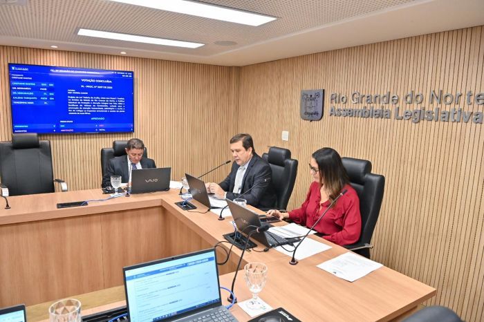 Leia mais sobre o artigo Comissão de Saúde da ALRN aprova ações para famílias, gestantes e fiscalização do SUS