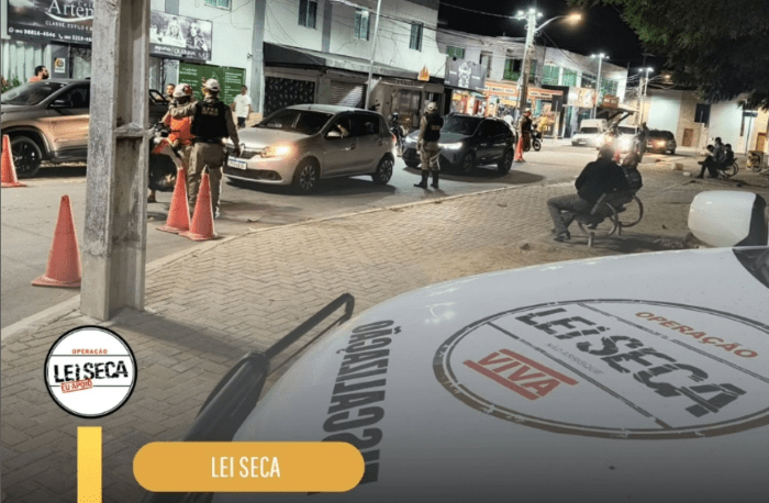 Leia mais sobre o artigo Lei Seca divulga dados das operações realizadas neste último final de semana