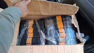 Leia mais sobre o artigo Polícia Militar apreende mais de 10 quilos de drogas durante fiscalização em Baia Formosa