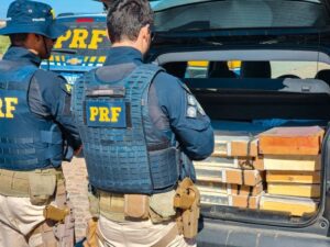 Leia mais sobre o artigo Irmãos são detidos pela PRF com mais de 400 pássaros silvestres no interior de Pernambuco