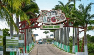 Leia mais sobre o artigo Justiça condena ex-prefeita por improbidade administrativa após conceder gratificações indevidas a servidores