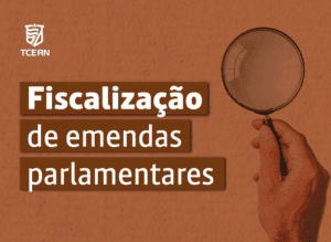 Leia mais sobre o artigo Gestores têm até 31 de dezembro para enviar ao TCE informações sobre emendas parlamentares