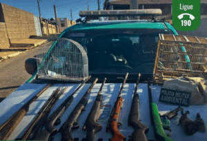 Leia mais sobre o artigo Polícia Ambiental apreende armas e pássaros silvestres mantidos em cativeiro no interior do Rio Grande do Norte