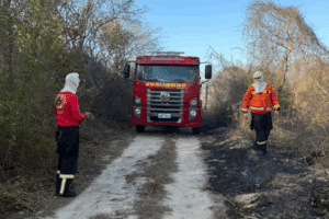 Leia mais sobre o artigo Incêndio às margens da BR-406 mobiliza Corpo de Bombeiros em João Câmara
