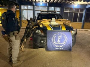 Leia mais sobre o artigo PRF apreende mais de 34 kg de drogas em ônibus interestadual que seguia de São Paulo para Mossoró