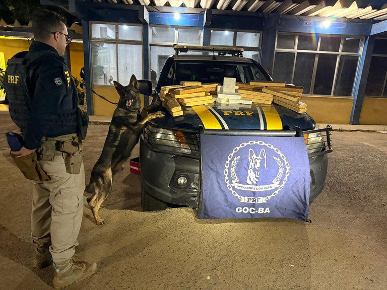 No momento, você está visualizando PRF apreende mais de 34 kg de drogas em ônibus interestadual que seguia de São Paulo para Mossoró