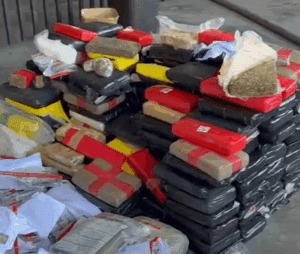 Leia mais sobre o artigo Mais de 500 kg de drogas avaliadas em R$ 1 milhão são incineradas pela Polícia Civil