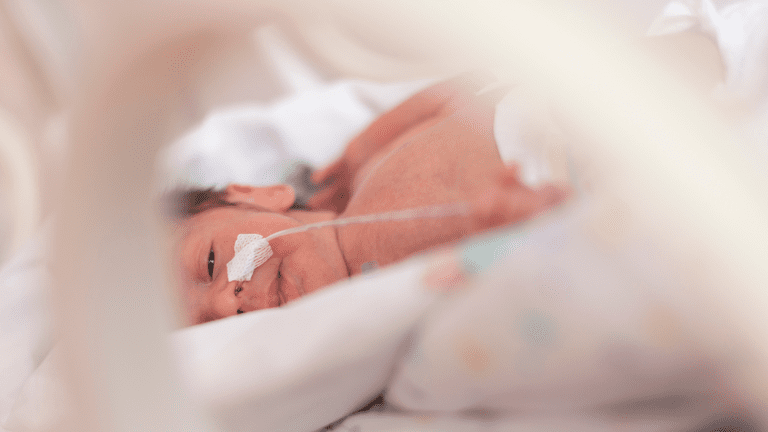 No momento, você está visualizando Maternidade Januário Cicco integra projeto que visa criação de Centro de Neuroproteção Infantil