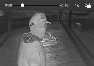 Leia mais sobre o artigo Fazenda de ex-prefeito é assaltada pela sétima vez em Serra Negra do Norte, RN