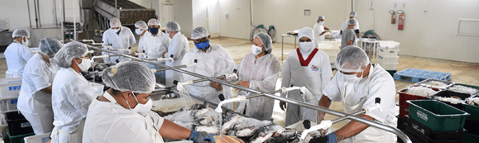 Leia mais sobre o artigo PIB do RN chega aos R$ 101,7 bilhões e registra o maior crescimento do Nordeste