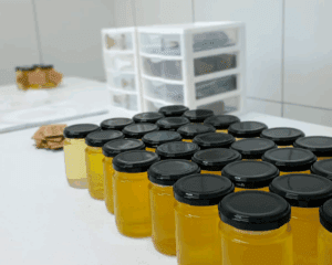 Leia mais sobre o artigo IFRN tem projeto de valorização do mel de Jandaíra selecionado em edital nacional do MEC