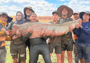 Leia mais sobre o artigo Ex-prefeito e amigos pescam pirarucu gigante de 100 kg no município de Água Nova, RN