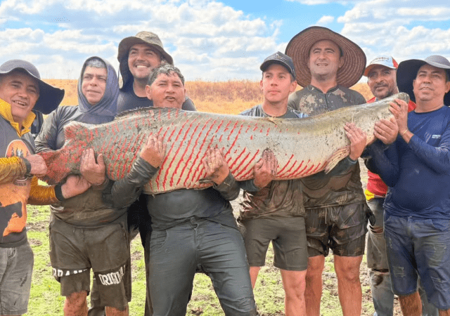 No momento, você está visualizando Ex-prefeito e amigos pescam pirarucu gigante de 100 kg no município de Água Nova, RN