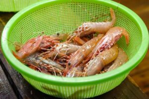 Leia mais sobre o artigo Comerciante é condenada em mais de R$ 14 mil após não pagar compra de camarões vendidos por fornecedor