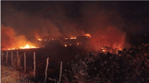 Leia mais sobre o artigo Incêndio atinge área de mata na Praia de Cajueiro, em Touros/RN