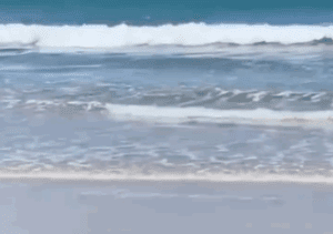 Leia mais sobre o artigo Afogamento registrado na Praia do Madeiro em Pipa no final de semana