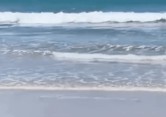 No momento, você está visualizando Afogamento registrado na Praia do Madeiro em Pipa no final de semana