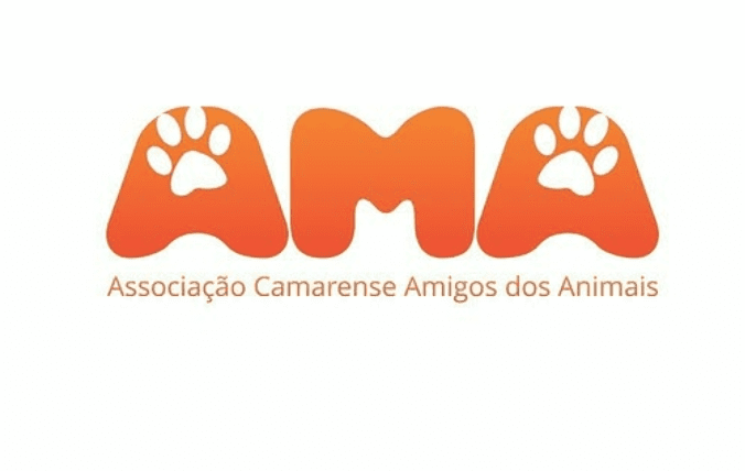 No momento, você está visualizando RN reconhece Associação Camarense Amigos dos Animais como Utilidade Pública Estadual
