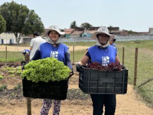 Leia mais sobre o artigo Sesc RN e Emater assinam convênio que amplia o desenvolvimento de hortas do Sesc Mesa Brasil