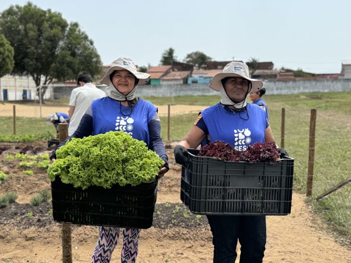 Leia mais sobre o artigo Sesc RN e Emater assinam convênio que amplia o desenvolvimento de hortas do Sesc Mesa Brasil