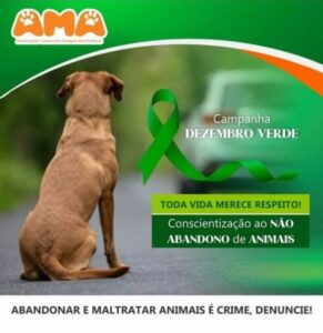 Leia mais sobre o artigo Dezembro Verde: Associação Camarense Amigos dos Animais realiza campanha ‘Toda Vida merece Respeito’