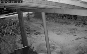 Leia mais sobre o artigo Homem que teria sido morto pela filha é encontrado com vida no interior do RN