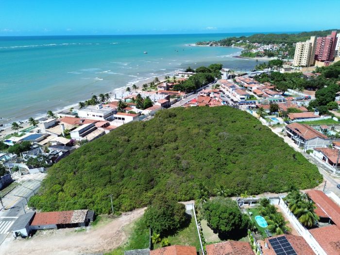 No momento, você está visualizando Cajueiro de Pirangi celebra 137 anos com programação especial e reforço à preservação ambiental