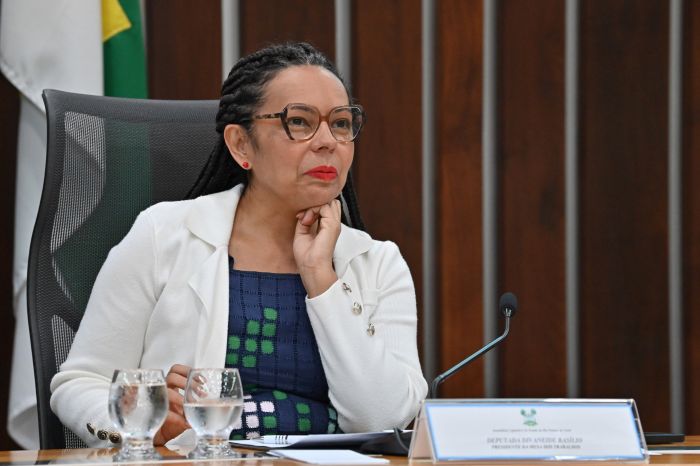 No momento, você está visualizando Lei garante ação para alimentação de pets no RN