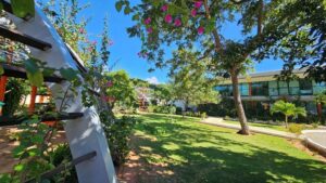 Leia mais sobre o artigo Gestão Ambiental: Novos procedimentos de delegação de competência com municípios potiguares são regulamentados pelo Idema