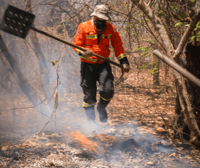 No momento, você está visualizando Corpo de Bombeiros do RN combate grande incêndio em vegetação no interior do Estado