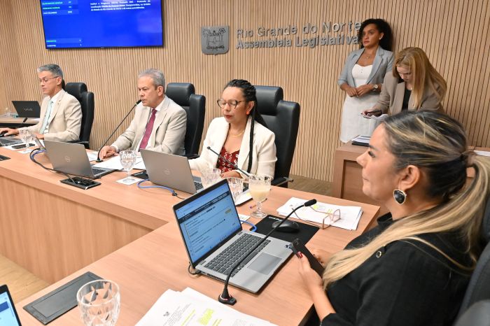 Leia mais sobre o artigo Comissão de Educação da Assembleia Legislativa fecha 2025 após 422 projetos analisados