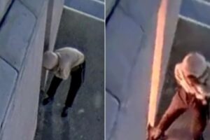 Leia mais sobre o artigo Homem tenta atear fogo na estatua da Havan, em Natal