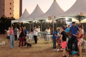 Leia mais sobre o artigo Rolê dos Pets terá edição de Natal e leva ação social, serviços gratuitos e adoção de animais para o Centro Administrativo
