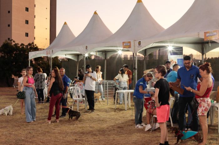 No momento, você está visualizando Rolê dos Pets terá edição de Natal e leva ação social, serviços gratuitos e adoção de animais para o Centro Administrativo