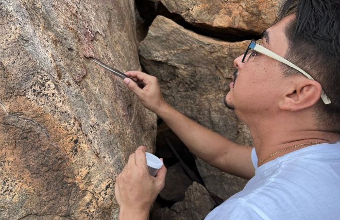 Leia mais sobre o artigo Pesquisadores descobrem novo potencial vetor da doença de Chagas no RN