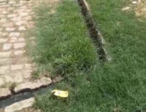 Leia mais sobre o artigo Ministério Público obtém decisão que obriga Município a combater poluição