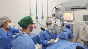 Leia mais sobre o artigo Mutirão “Dia E” em hospitais universitários do RN realizou mais de mil atendimentos, reduzindo filas no SUS