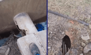 Leia mais sobre o artigo Furtos de cabos elétricos em estação elevatória deixa cinco cidades sem água 