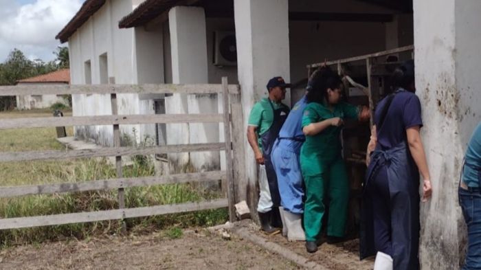 No momento, você está visualizando Emparn forma mais uma turma do curso de Inseminação Artificial em Bovinos 