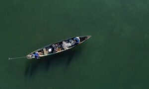 Leia mais sobre o artigo Pescadores profissionais têm até dia 31 para comprovar atividade