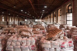 Leia mais sobre o artigo Maior Natal Sem Fome da história leva produção da agricultura familiar a 2 milhões de pessoas